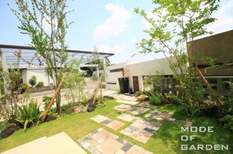 植栽 H-30 (10) 植栽 H-30 (10)