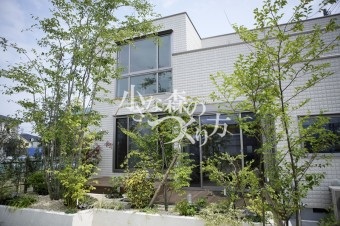 庭の植栽 庭の植栽