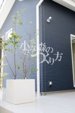 N-4 0373 1R N-4 0373 1R