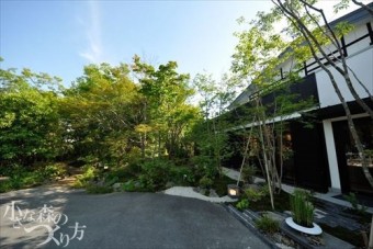 植栽 K-4 (0017) 植栽 K-4 (0017)