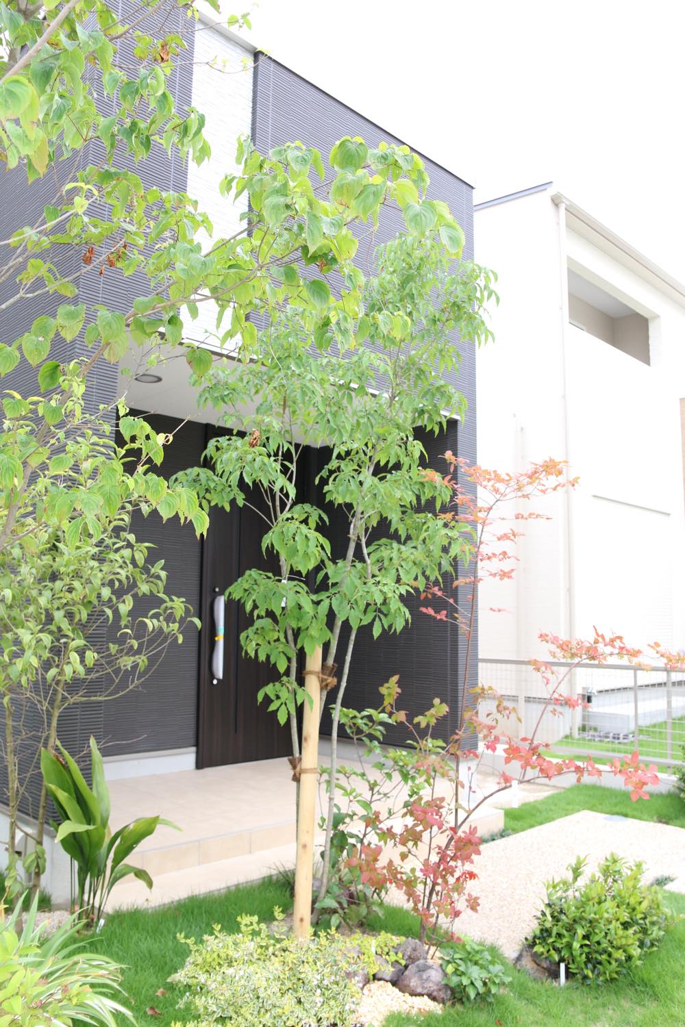 <p>お庭の外側や中心部などに主木として配植し、中低木と下草を組合わせ野山の小道のような静かな雰囲気を演出できそうです。</p>