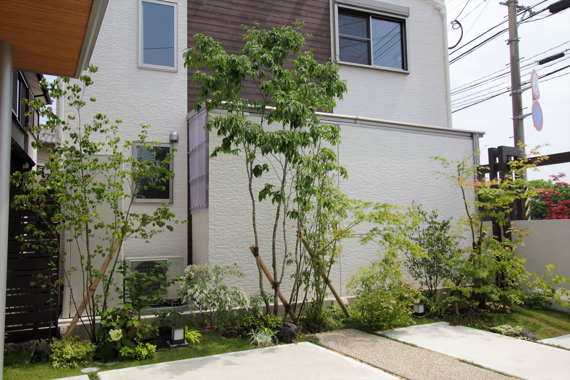 <p>常緑樹のわりに繊細な葉っぱが魅力で、人気のある樹木です。</p>