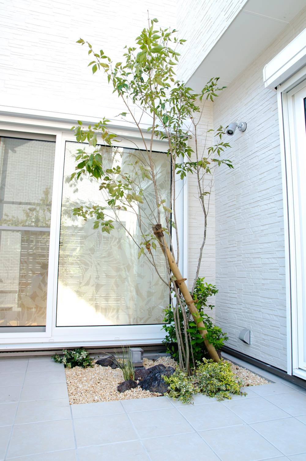 <p>お庭の外側や中心部などに主木として配植し、中低木と下草を組合わせ野山の小道のような静かな雰囲気を演出できそうです。</p>