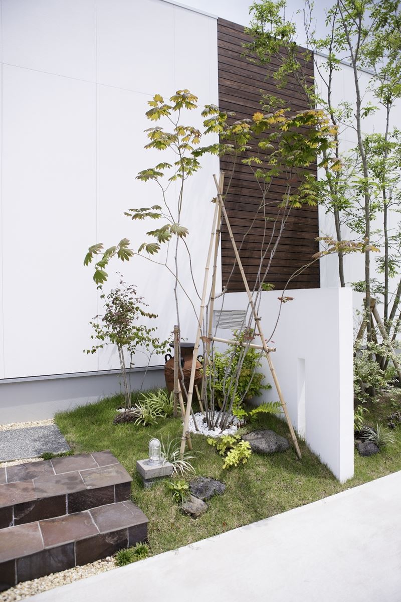 <p>手前の樹木は、ハウチワカエデ。繊細な株立ちの枝を支柱でしっかり支えて。<br />
季節の移ろいを感じさせてくれる樹木です。</p>