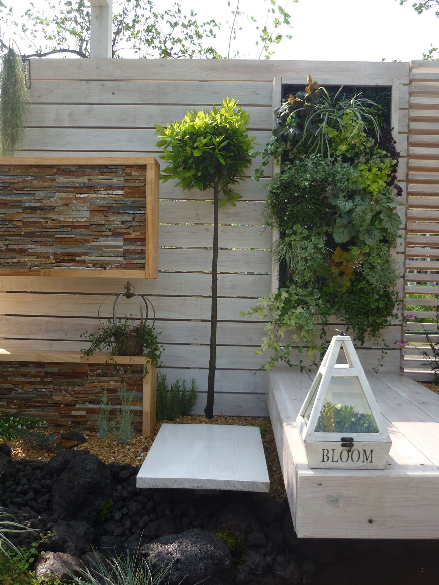 <p>スタンダード仕立てのゲッケイジュオーレア。グリーンインテリアとして活躍。</p>