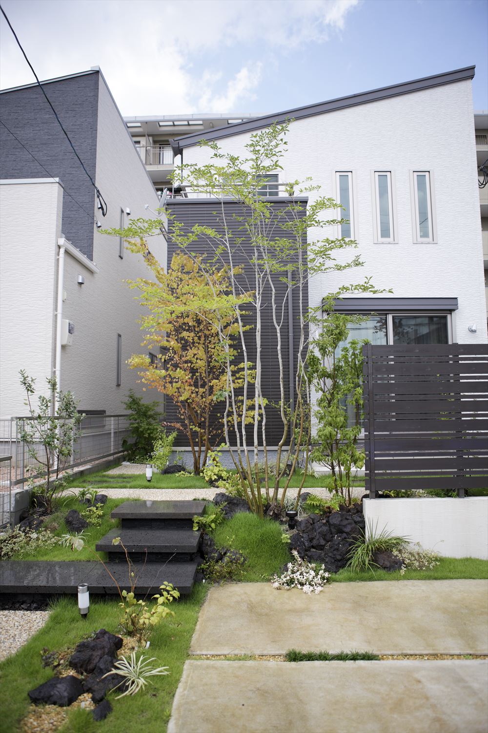 <p>薄緑色の葉がさわやかな印象です。</p>