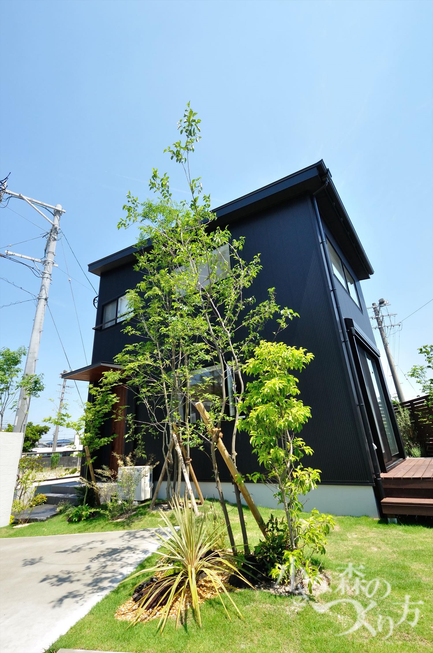 <p>エゴノキ(高木)・ソヨゴ(中木)・<br />
エゴノキは古くから親しまれている樹種で、枝からぶら下がっている実をご覧になった方も多いのでは?ソヨゴは<br />
モチノキ科の常緑高木で秋には赤い実を付けます。</p>