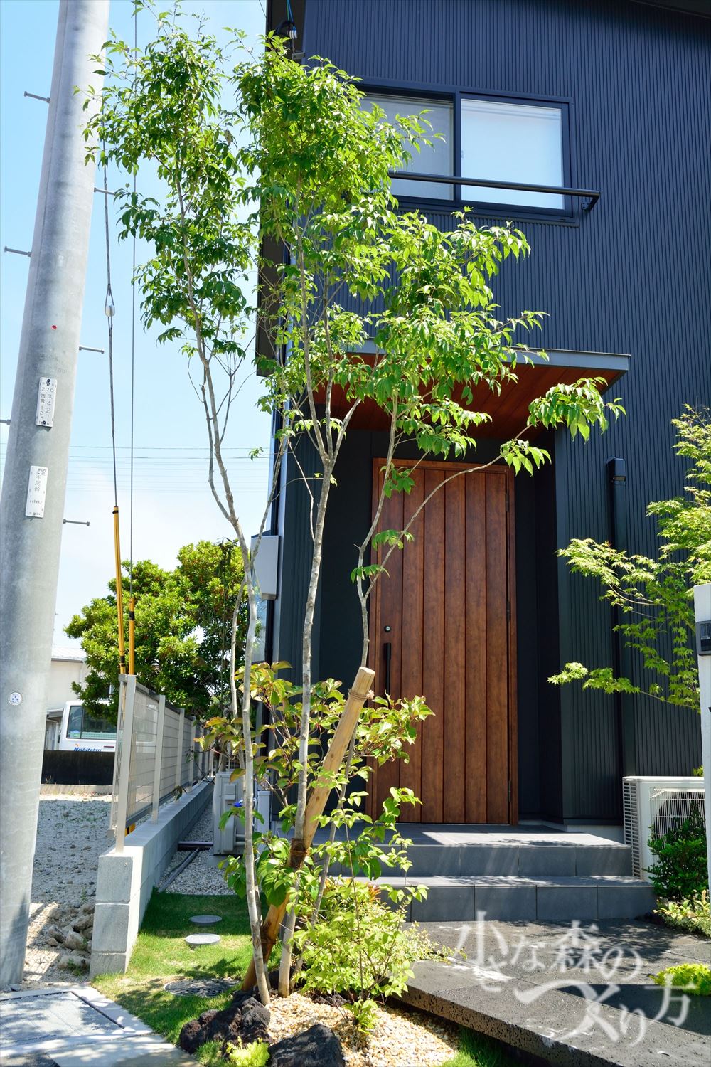 <p>アオダモ<br />
野球で使うのバットの材料として有名な樹種ですね。初夏に花を付け、育つと幹に白い模様が現れるの人気のシンボルツリーです。</p>