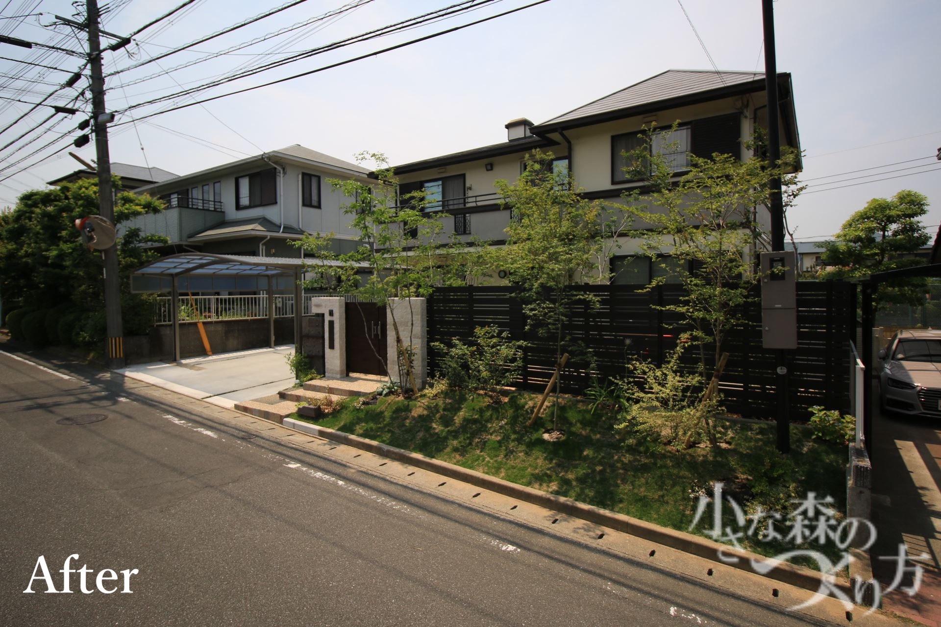<p>明るい葉色の植栽がバランスよく配置され、高木が建物とのつながりを演出</p>