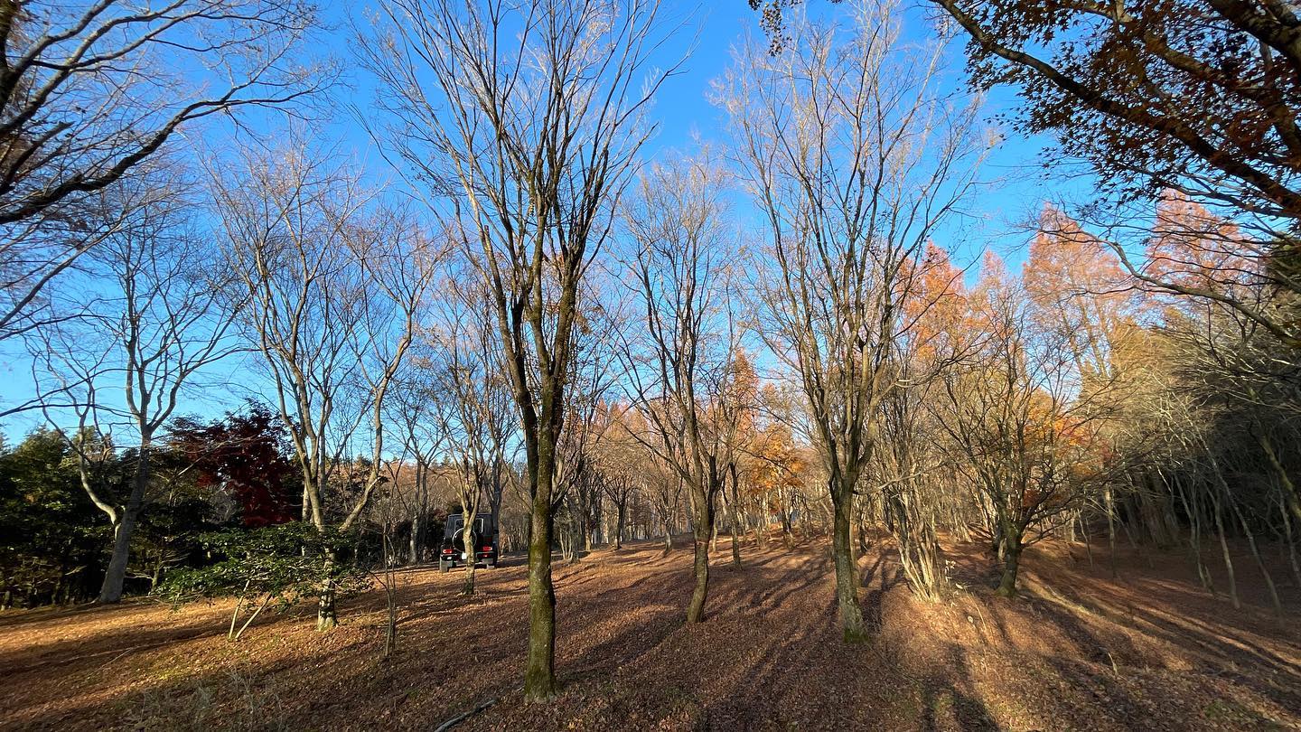 <p>昨日AM金沢PM大阪打出張<br />
今日は大分由布院農場<img src="https://www.tanushimaru.co.jp/smileys/bud.gif"></p>