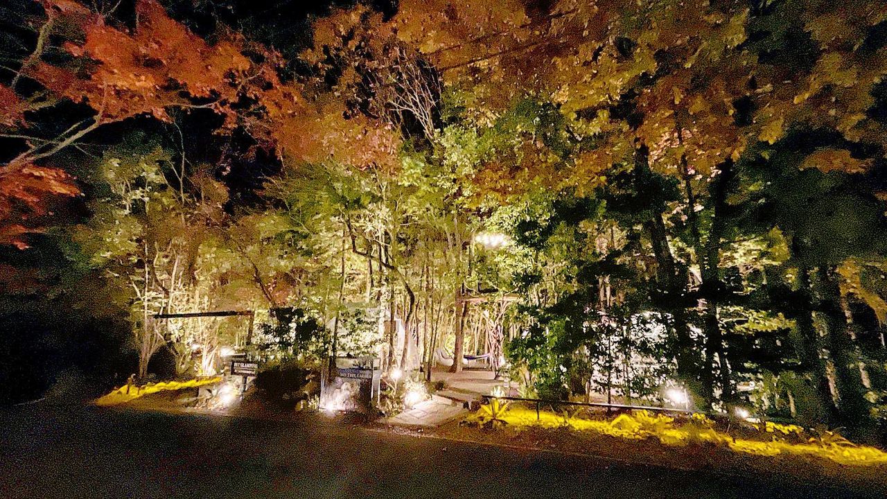 <p>久しぶりに<br />
コモレビに打ち合わせ</p>