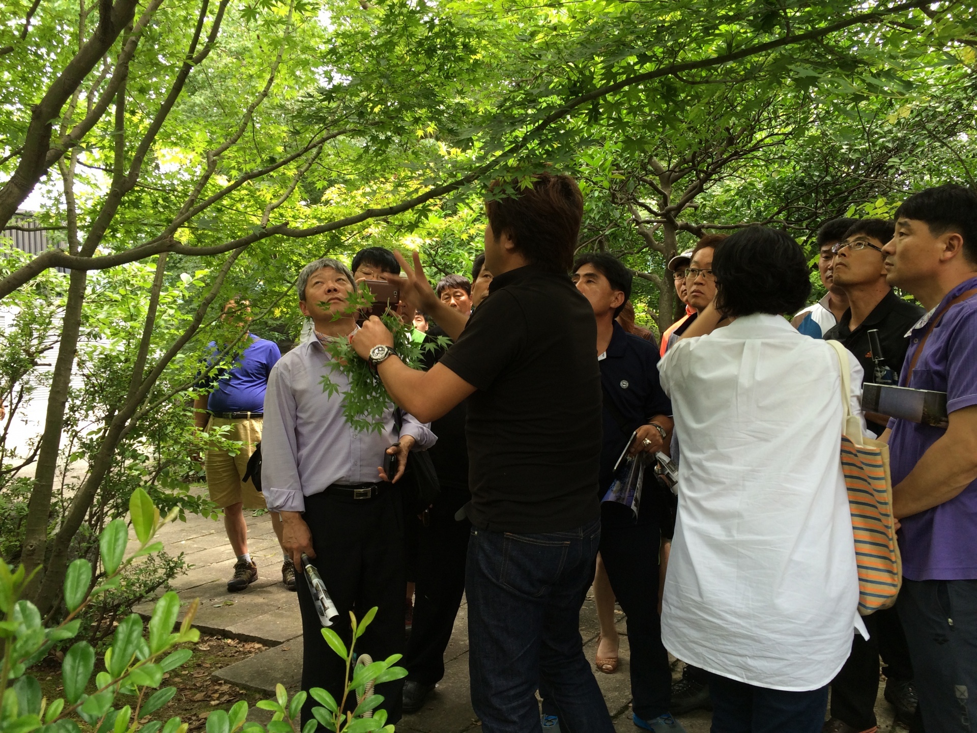 <p>事務所周りの庭を使って、雑木の庭について説明</p>