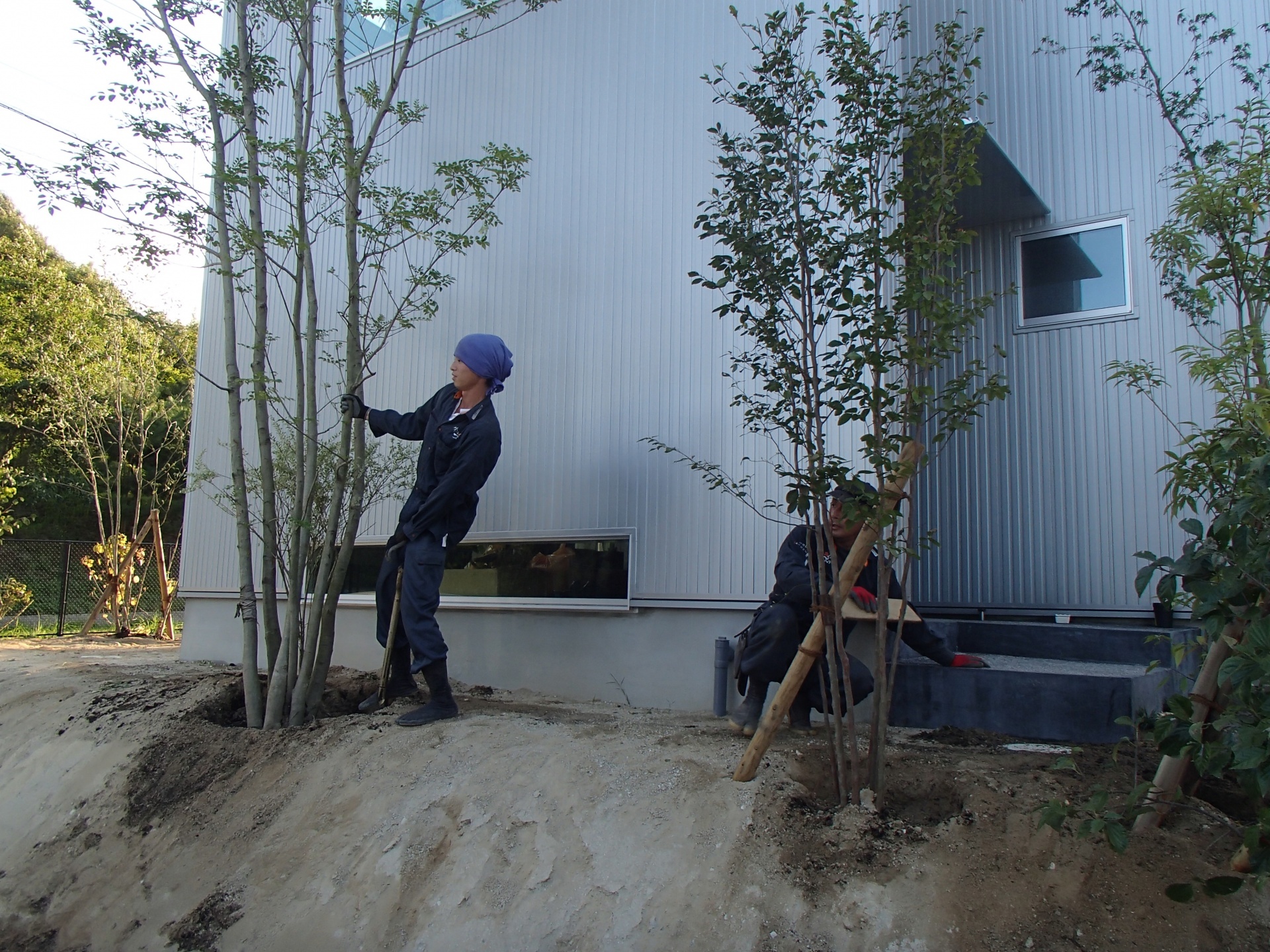 <p>樹木の『顔』を決めます。『顔』が決まってないとお間抜けな感じになるので、ここは慎重に<img src="https://www.tanushimaru.co.jp/smileys/eye.gif">大事な作業です<img src="https://www.tanushimaru.co.jp/smileys/clover.gif"><br />
シンボルツリーの植栽完了<img src="https://www.tanushimaru.co.jp/smileys/shine.gif"></p>