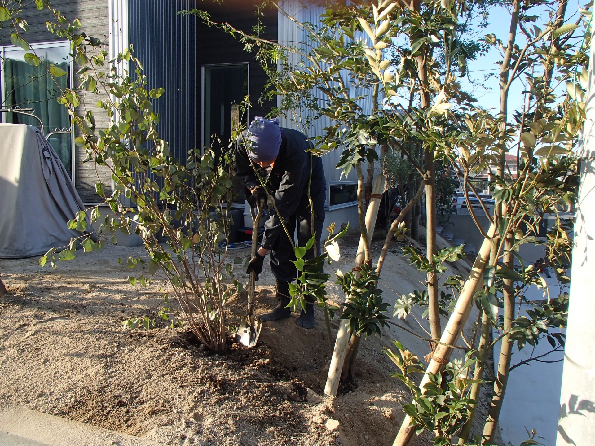 <p>残りの樹木も、植えていきます。手順良くサクサクと～<img src="https://www.tanushimaru.co.jp/smileys/happy01.gif"></p>