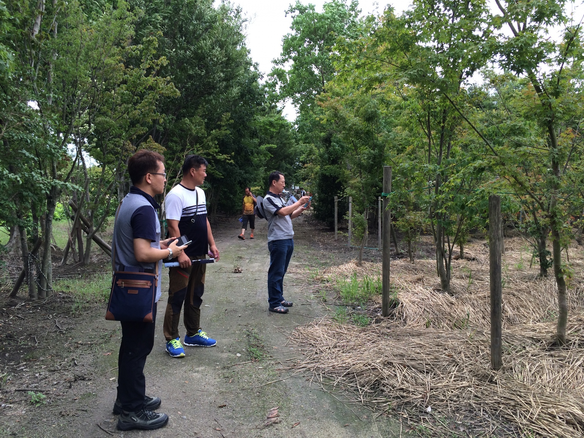 <p>農場の写真をたくさん撮っていかれました</p>
<p>来られたみなさまは寒冷地（ 15℃にもなる所）<br />
の方々で、樹種はこちらで使っているものと<br />
ずいぶん違っていたようです。</p>
<p>それでも、雑木の庭・単木と株立の使い方など<br />
いろいろ参考になったようです。</p>