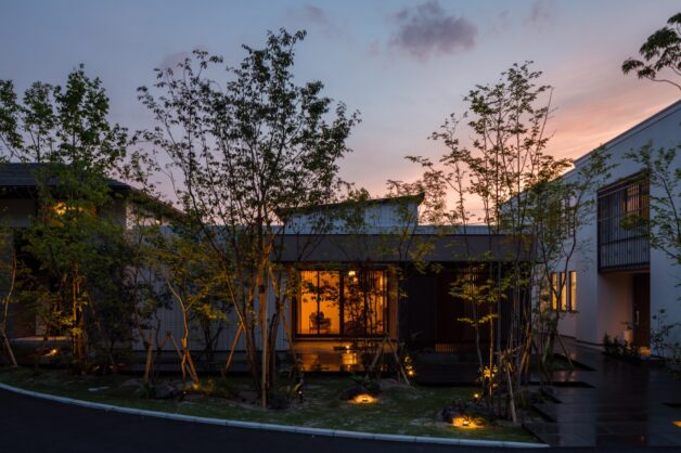 小さな森から広がり繋がるグランドライン