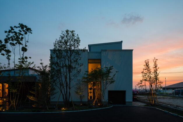 小さな森から広がり繋がるグランドライン