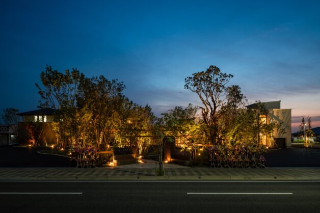 小さな森から広がり繋がるグランドライン