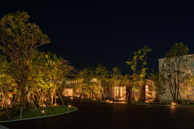 小さな森から広がり繋がるグランドライン