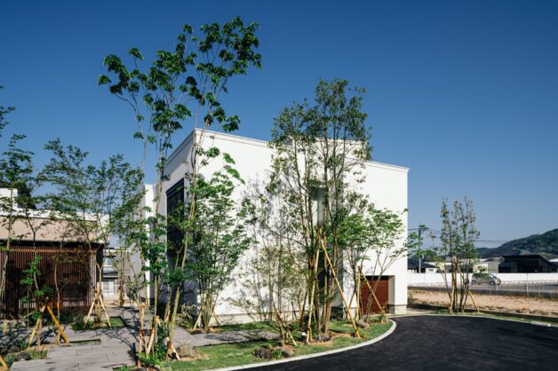 小さな森から広がり繋がるグランドライン