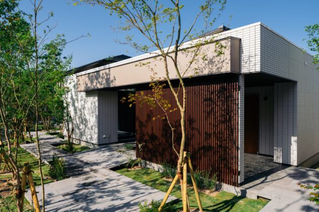 小さな森から広がり繋がるグランドライン