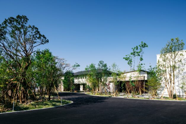 小さな森から広がり繋がるグランドライン