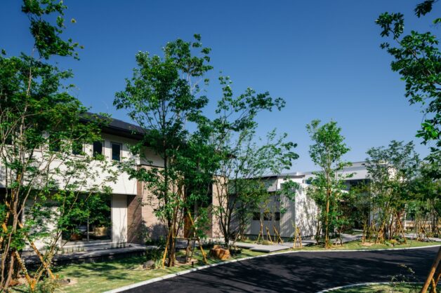 小さな森から広がり繋がるグランドライン