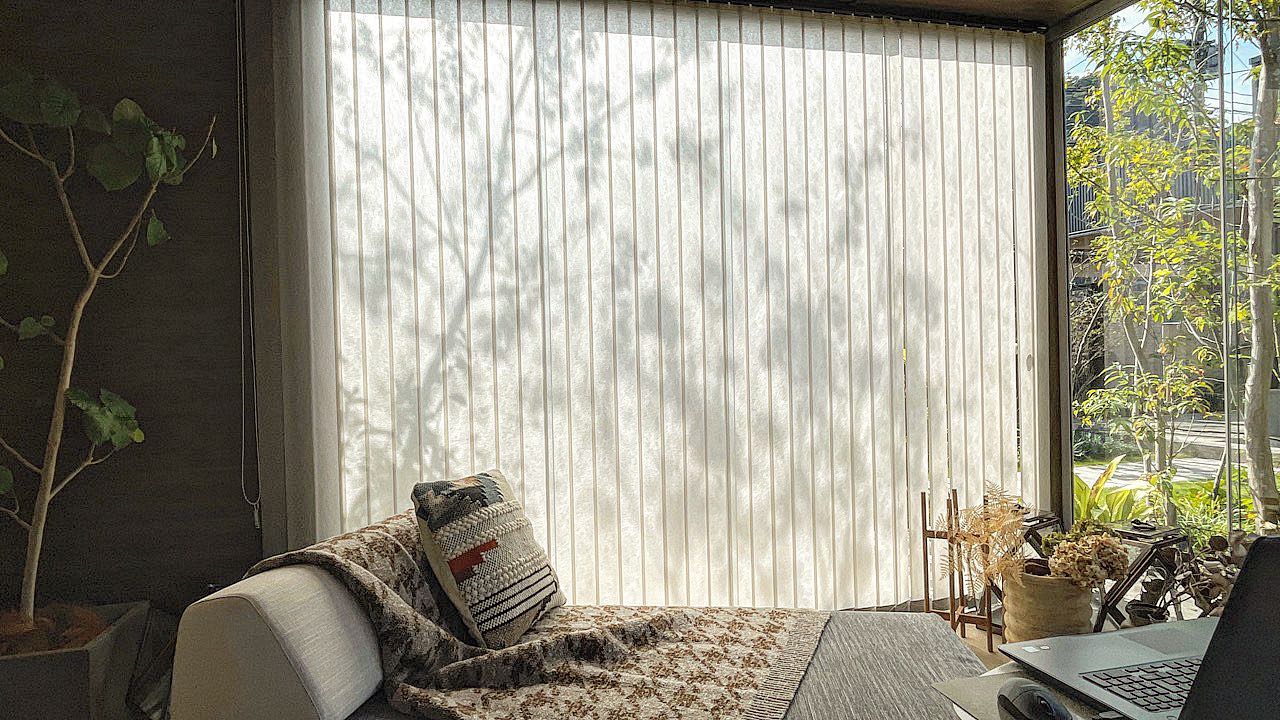 <p>shadow garden</p>