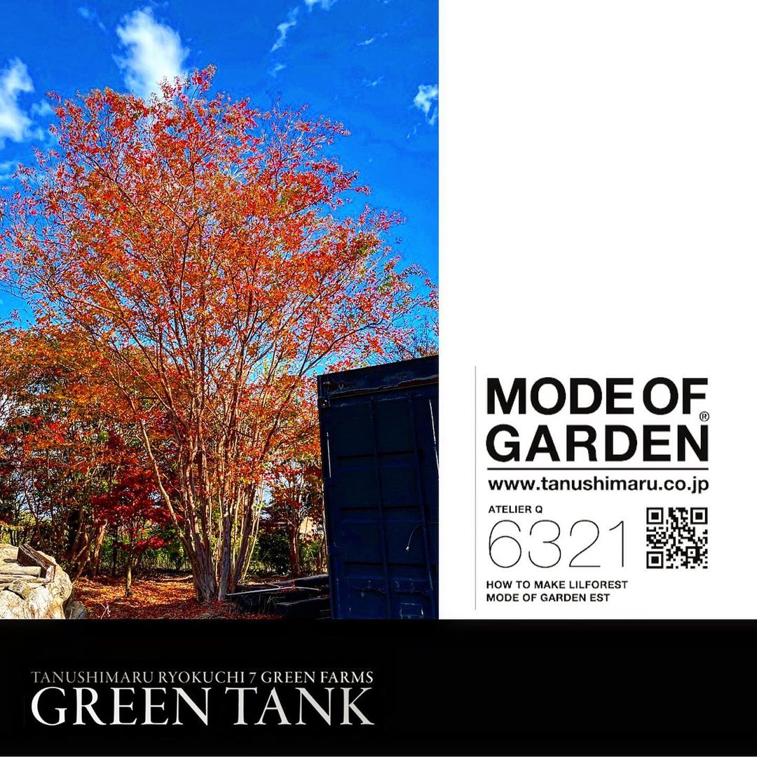 <p>ふと、本社のGreen tank🤩<br />
シマサルスベリの紅葉</p>
<p>やっぱ大好きですねー😊</p>