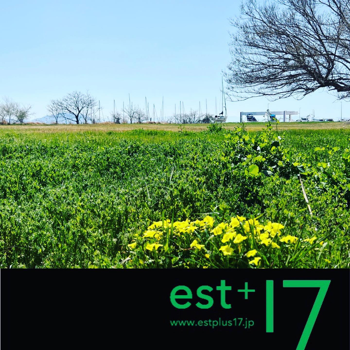 <div class="kvgmc6g5 cxmmr5t8 oygrvhab hcukyx3x c1et5uql ii04i59q">
<div dir="auto">水曜日は海の近くで植栽<span class="pq6dq46d tbxw36s4 knj5qynh kvgmc6g5 ditlmg2l oygrvhab nvdbi5me sf5mxxl7 gl3lb2sf hhz5lgdu"><img loading="lazy" src="https://static.xx.fbcdn.net/images/emoji.php/v9/t1e/2/16/1f60a.png" alt="😊" width="16" height="16" /></span></div>
<div dir="auto">もう夏<span class="pq6dq46d tbxw36s4 knj5qynh kvgmc6g5 ditlmg2l oygrvhab nvdbi5me sf5mxxl7 gl3lb2sf hhz5lgdu"><img loading="lazy" src="https://static.xx.fbcdn.net/images/emoji.php/v9/td1/2/16/2757.png" alt="❗️" width="16" height="16" /></span></div>
</div>
<div class="cxmmr5t8 oygrvhab hcukyx3x c1et5uql o9v6fnle ii04i59q"></div>