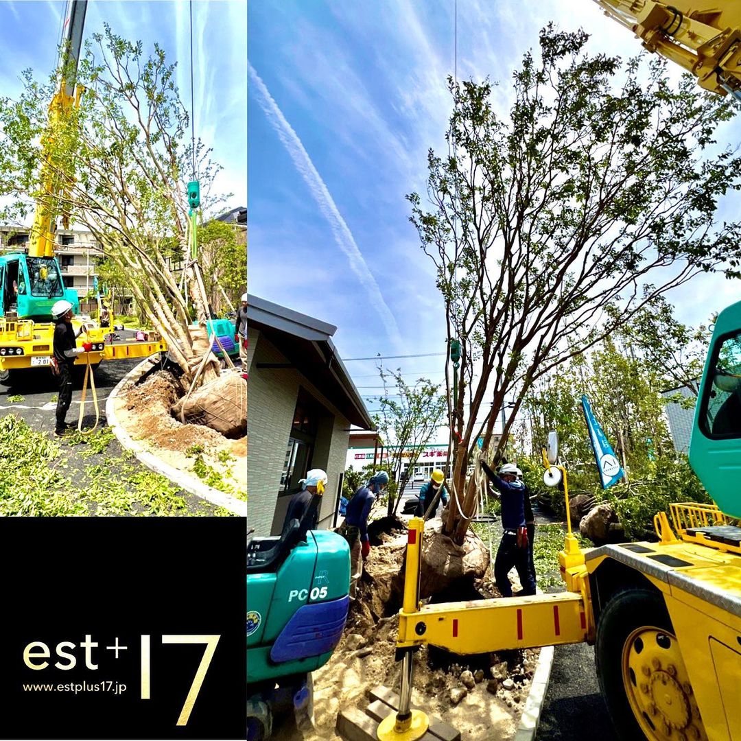 <div class="m8h3af8h l7ghb35v kjdc1dyq kmwttqpk gh25dzvf n3t5jt4f">
<div dir="auto">先週は名古屋から<span class="fxk3tzhb b2rh1bv3 gh55jysx m8h3af8h ewco64xe kjdc1dyq ms56khn7 bq6c9xl4 eohcrkr5 akh3l2rg"><img loading="lazy" src="https://static.xx.fbcdn.net/images/emoji.php/v9/tf2/2/16/1f605.png" alt="😅" width="16" height="16" /></p>
<p></span></div>
<div dir="auto">アイパーク愛知の中のアイベース</div>
<div dir="auto">荒磯部屋の仕上げに。</div>
</div>
<div class="l7ghb35v kjdc1dyq kmwttqpk gh25dzvf jikcssrz n3t5jt4f">
<div dir="auto">
<p>いい感じになりました<span class="fxk3tzhb b2rh1bv3 gh55jysx m8h3af8h ewco64xe kjdc1dyq ms56khn7 bq6c9xl4 eohcrkr5 akh3l2rg"><img loading="lazy" src="https://static.xx.fbcdn.net/images/emoji.php/v9/t1e/2/16/1f60a.png" alt="😊" width="16" height="16" /></span></div>
</div>
<div class="l7ghb35v kjdc1dyq kmwttqpk gh25dzvf jikcssrz n3t5jt4f"></div>