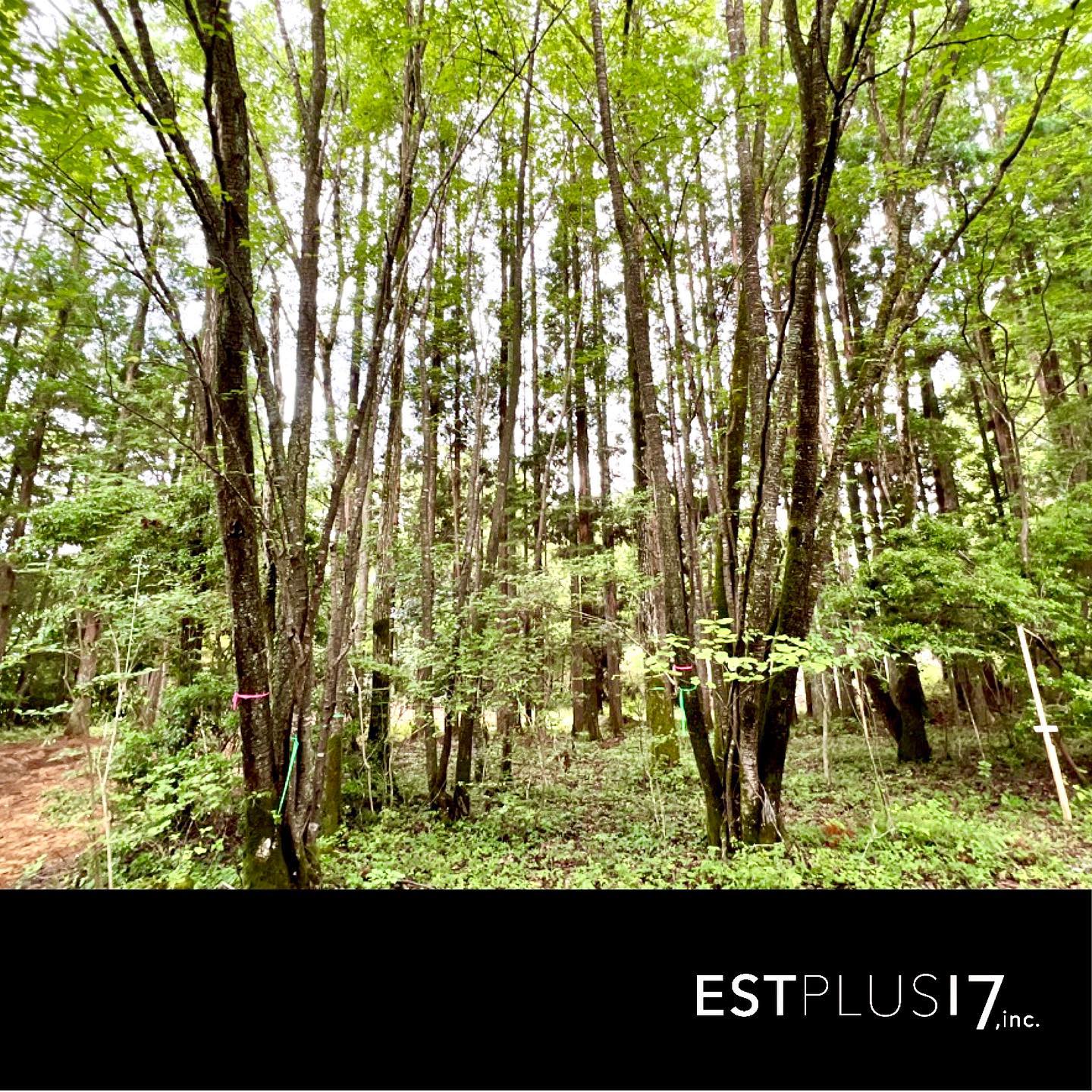 <div class="m8h3af8h l7ghb35v kjdc1dyq kmwttqpk gh25dzvf n3t5jt4f">
<div dir="auto">中津川グランピングの打ち合わせ。</p>
</div>
<div dir="auto">いい感じになってきました</div>
</div>
<div class="l7ghb35v kjdc1dyq kmwttqpk gh25dzvf jikcssrz n3t5jt4f">
<div dir="auto">
<p>いろんな事をコントロールは</p>
</div>
<div dir="auto">やっぱり現場にあり<span class="fxk3tzhb b2rh1bv3 gh55jysx m8h3af8h ewco64xe kjdc1dyq ms56khn7 bq6c9xl4 eohcrkr5 akh3l2rg"><img loading="lazy" src="https://static.xx.fbcdn.net/images/emoji.php/v9/t1e/2/16/1f60a.png" alt="😊" width="16" height="16" /></span></div>
</div>
<div class="l7ghb35v kjdc1dyq kmwttqpk gh25dzvf jikcssrz n3t5jt4f">
<div dir="auto">
<p>楽しみです♪</p>
</div>
</div>