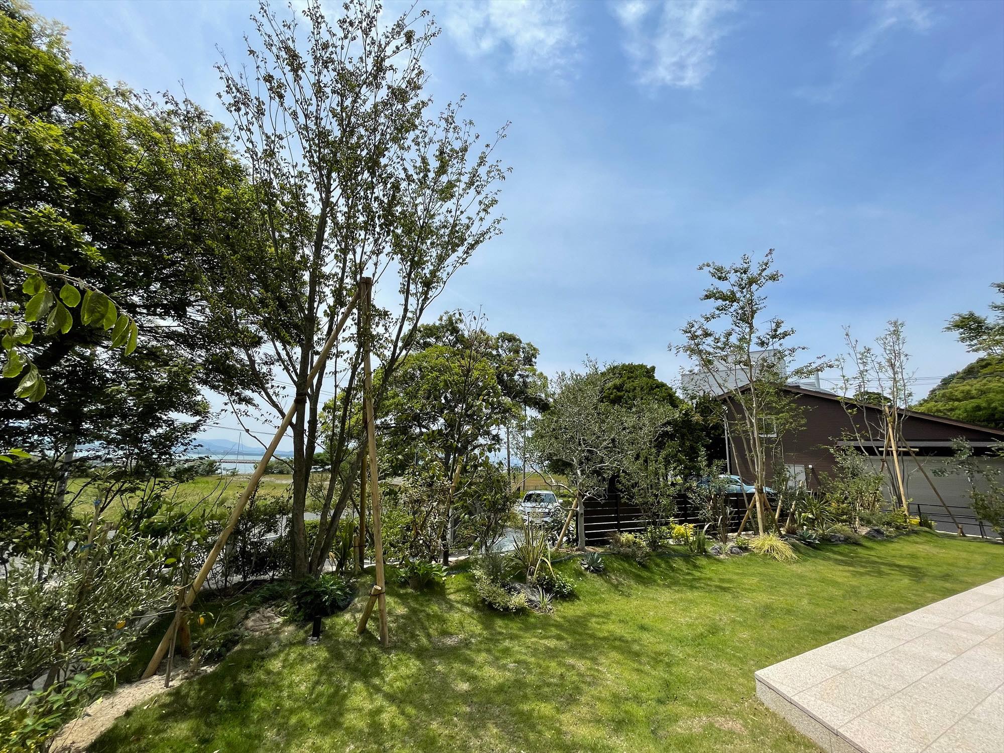 どのようなご希望がありましたか？<p>自然な感じ<br />
できれば価格は抑えて</p>