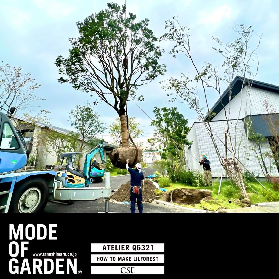 <p> </p>
<p>昨日は名古屋出張<br />
</p>
<p>アイパーク愛知 追加植栽<br />
</p>
<p>3500kgのヤマモモなどなど大型車二台分。</p>
<p> <br />
<br />
<br />
3日で終わらせるばい💪</p>