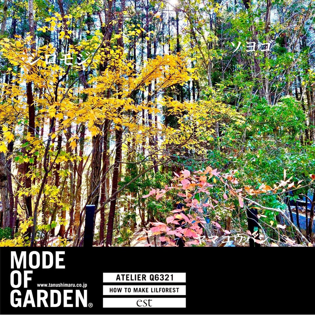 <div class="x11i5rnm xat24cr x1mh8g0r x1vvkbs xdj266r x126k92a">
<div dir="auto">A casual scenery has a beautiful element</p>
</div>
</div>
<div class="x11i5rnm xat24cr x1mh8g0r x1vvkbs xtlvy1s x126k92a">
<div dir="auto">中津川の渓谷の近くは石山であり</div>
<div dir="auto">がゆえに川下りから眺める景色は絶景である</p>
</div>
</div>
<div class="x11i5rnm xat24cr x1mh8g0r x1vvkbs xtlvy1s x126k92a">
<div dir="auto">その土地で実生で育ち、雑木林で</div>
<div dir="auto">生存競争を強いられた雑木は紅葉になると強烈に姿を表す</p>
</div>
</div>
<div class="x11i5rnm xat24cr x1mh8g0r x1vvkbs xtlvy1s x126k92a">
<div dir="auto">自然な樹形と時間美で人工造形には無い姿はいつ見ても師と仰ぐ</div>
</div>
<div class="x11i5rnm xat24cr x1mh8g0r x1vvkbs xtlvy1s x126k92a">
<div dir="auto">
</div>
</div>