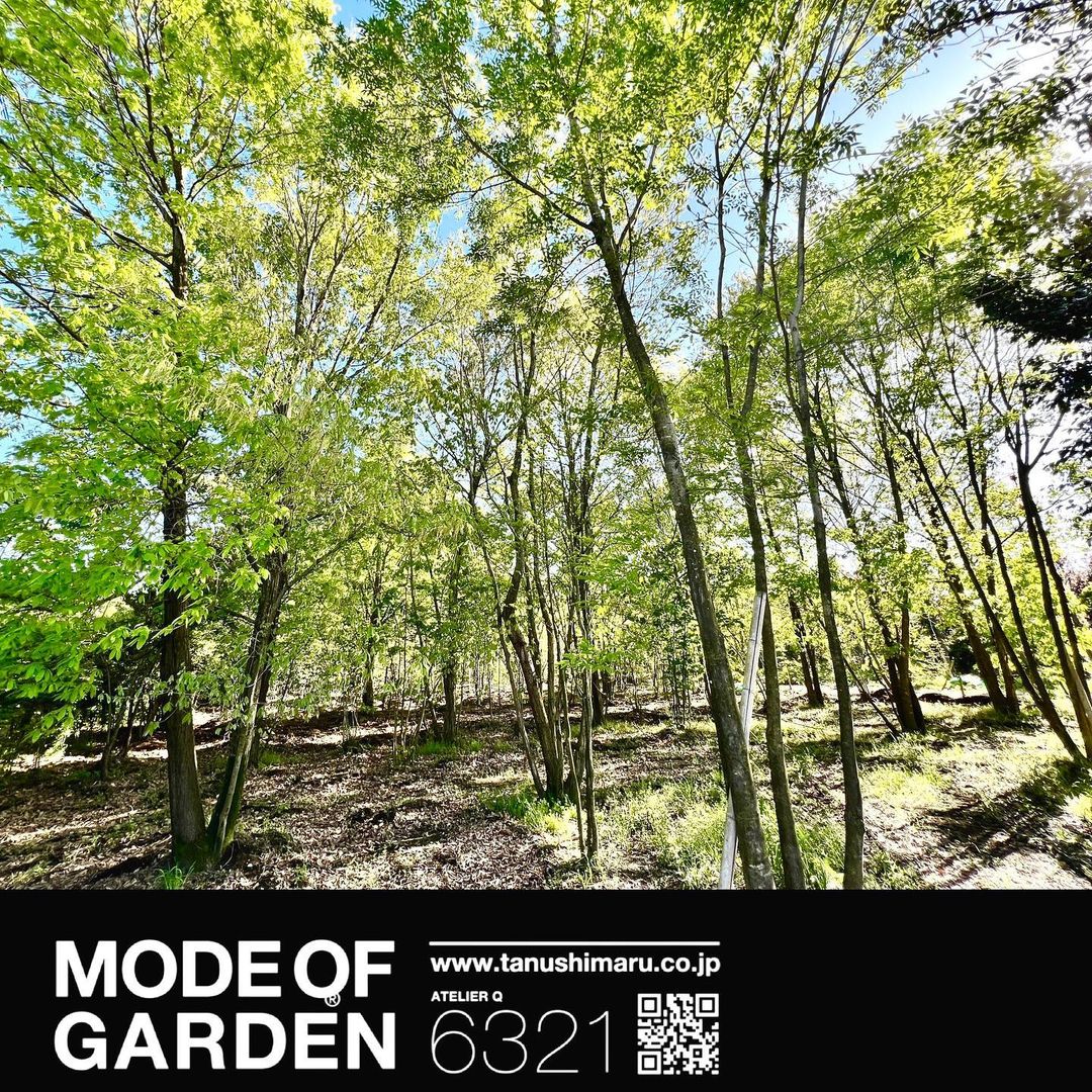 <div class="x11i5rnm xat24cr x1mh8g0r x1vvkbs xdj266r x126k92a">
<div dir="auto">俺か俺以外か?では無く</div>
<div dir="auto"></div>
</div>
<div class="x11i5rnm xat24cr x1mh8g0r x1vvkbs xtlvy1s x126k92a">
<div dir="auto">俺は現場か農場か?</div>
</div>
<div class="x11i5rnm xat24cr x1mh8g0r x1vvkbs xtlvy1s x126k92a">
<div dir="auto"></div>
<div dir="auto">めっちゃ焼けました<span class="x3nfvp2 x1j61x8r x1fcty0u xdj266r xhhsvwb xat24cr xgzva0m xxymvpz xlup9mm x1kky2od"><img loading="lazy" src="https://static.xx.fbcdn.net/images/emoji.php/v9/tf2/2/16/1f605.png" alt="😅" width="16" height="16" /></span></div>
</div>
<div class="x11i5rnm xat24cr x1mh8g0r x1vvkbs xtlvy1s x126k92a"></div>