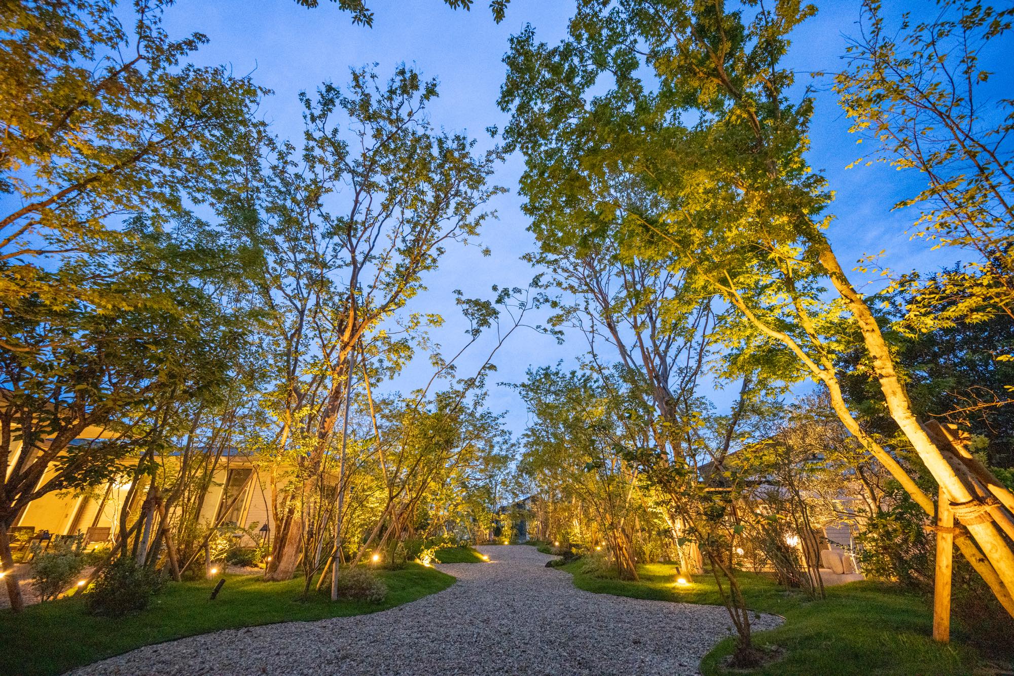 <p style="text align: center;">夜になると小さな森が全体ライティングにより照らし出されます。</p>
<p style="text align: center;">優しい光は街の防犯灯としても役割を担い、</p>
<p style="text align: center;">訪れた人にやすらぎとぬくもりを与えてくれます。</p>