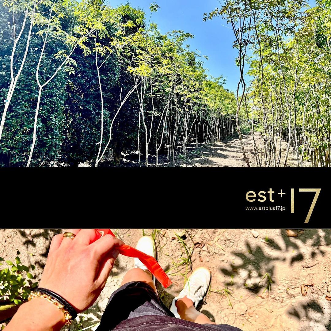 <div class="xdj266r x11i5rnm xat24cr x1mh8g0r x1vvkbs x126k92a">
<div dir="auto">先週末も来週からの植栽のマーキング<span class="x3nfvp2 x1j61x8r x1fcty0u xdj266r xhhsvwb xat24cr xgzva0m xxymvpz xlup9mm x1kky2od"><img loading="lazy" class="xz74otr" src="https://static.xx.fbcdn.net/images/emoji.php/v9/tf2/2/16/1f605.png" alt="😅" width="16" height="16" /></span></div>
</div>
<div class="x11i5rnm xat24cr x1mh8g0r x1vvkbs xtlvy1s x126k92a">
<div dir="auto">
<p>関東は台風<span class="x3nfvp2 x1j61x8r x1fcty0u xdj266r xhhsvwb xat24cr xgzva0m xxymvpz xlup9mm x1kky2od"><img loading="lazy" class="xz74otr" src="https://static.xx.fbcdn.net/images/emoji.php/v9/taa/2/16/1f300.png" alt="🌀" width="16" height="16" /></span>だったので予定変更<span class="x3nfvp2 x1j61x8r x1fcty0u xdj266r xhhsvwb xat24cr xgzva0m xxymvpz xlup9mm x1kky2od"><img loading="lazy" class="xz74otr" src="https://static.xx.fbcdn.net/images/emoji.php/v9/tb/2/16/1f4aa.png" alt="💪" width="16" height="16" /></span></div>
</div>
<div class="x11i5rnm xat24cr x1mh8g0r x1vvkbs xtlvy1s x126k92a">
</div>