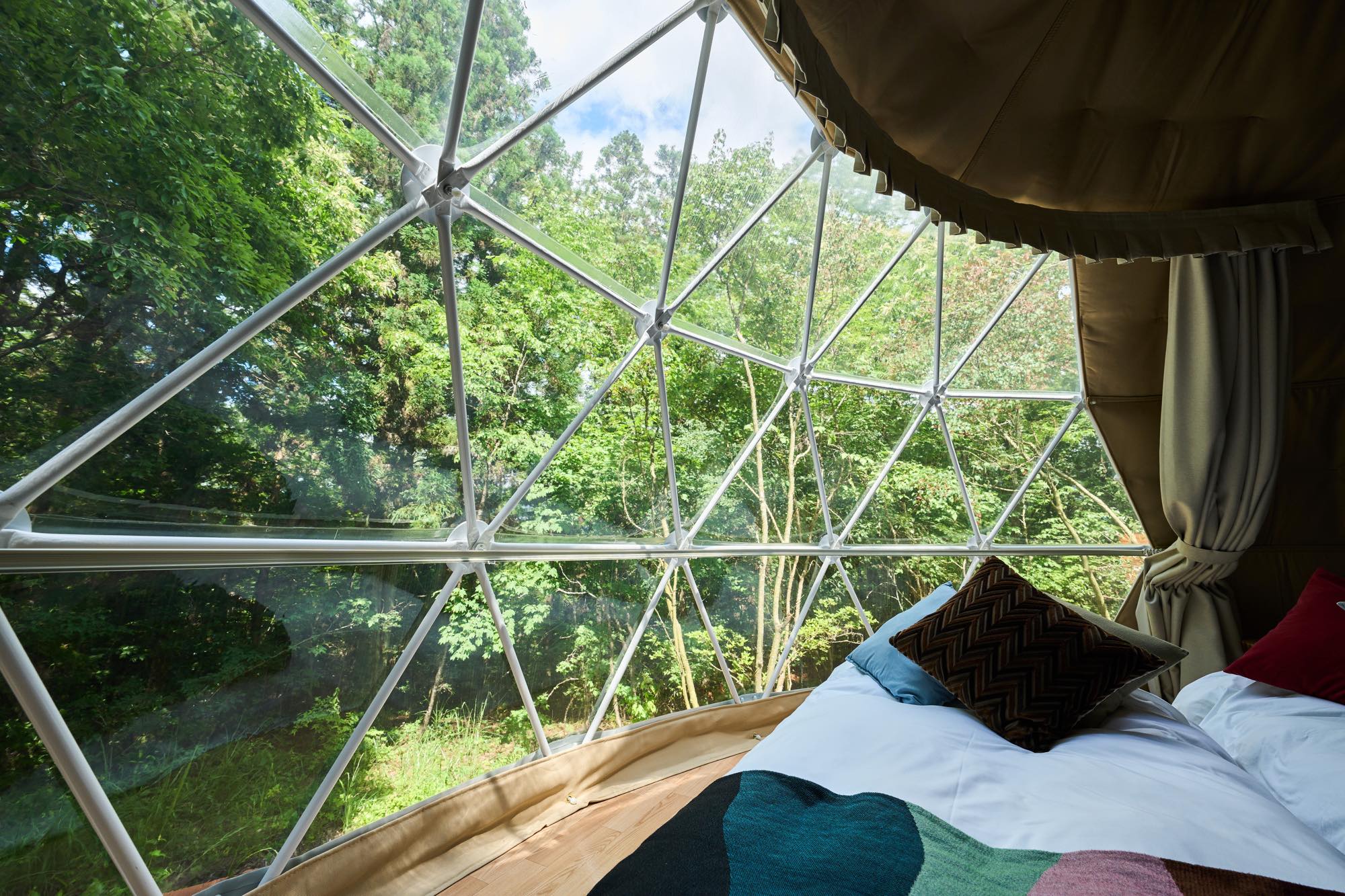 <p>室内から見える自然の森。</p>
<p>1年中いつの季節でも季節感が楽しめます。</p>