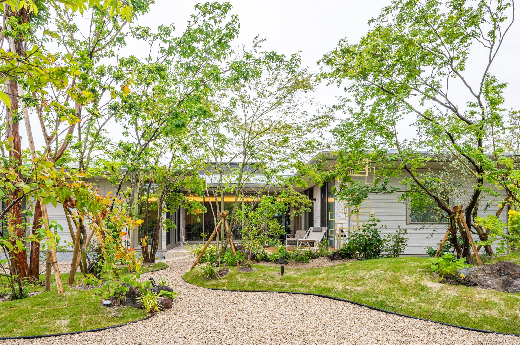 <p>ガーデンルームの向かい側には院長夫妻のご自宅があります。</p>
<p>「向かい合う庭」は、人が快適に過ごせるように</p>
<p>目線の高さをずらし、さらにGreen flowで自然な目隠しにすることで</p>
<p>プライベート空間が保たれます。</p>