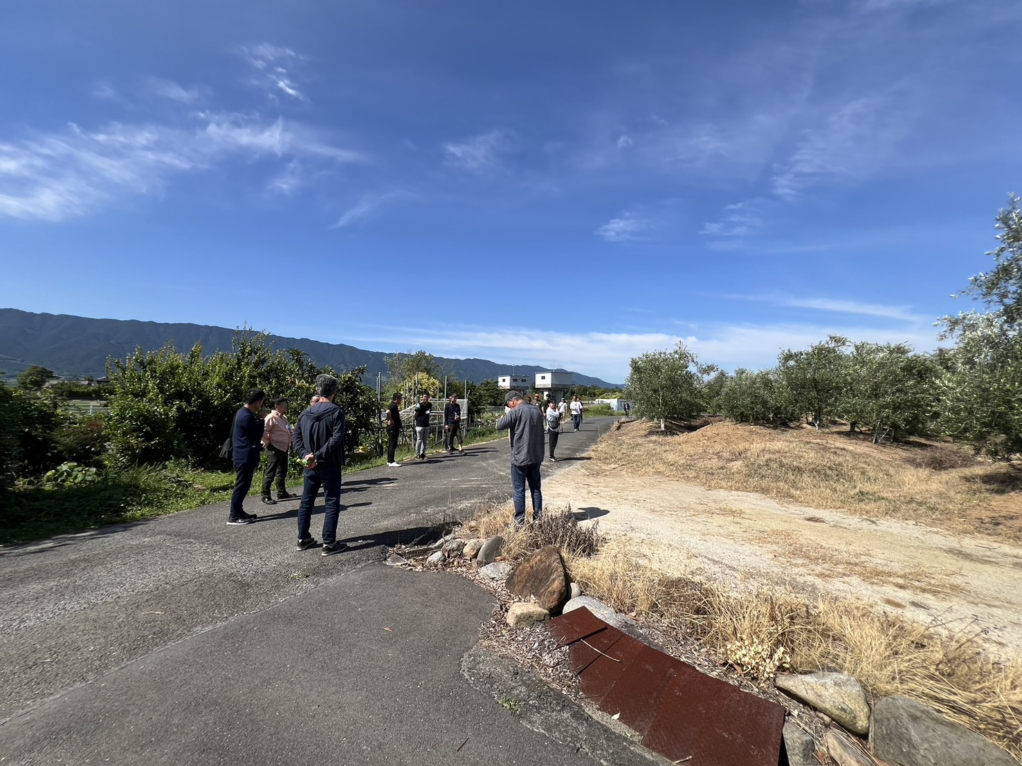 <div class="xdj266r x11i5rnm xat24cr x1mh8g0r x1vvkbs x126k92a">
<div dir="auto"></div>
</div>
<div class="x11i5rnm xat24cr x1mh8g0r x1vvkbs xtlvy1s x126k92a">
<div dir="auto">
<p>本日、日本植木協会の約30名の方々が全国各地よりお越しいただき弊社農場を視察されました。</p>
<p>日本植木協会様とは<br />
多くの方に植木の魅力を伝えるために昭和46 年に設立。</p>
<p>会員様は、庭・街路・公園等で植えられる樹木や草花等の生産・流通にたずさわっている「植木屋」さんです。</p>
<p>より良い品を生産してお届けする方法を、話合い研究し、全国各地の畑（圃場）で種を播いて苗を植えて、木を育ててお客様の元へ届けている活動をされています。</p>
</div>
<p>お天気にも恵まれた本日、ご来社頂き誠にありがとうございました<span class="x3nfvp2 x1j61x8r x1fcty0u xdj266r xhhsvwb xat24cr xgzva0m xxymvpz xlup9mm x1kky2od"><img loading="lazy" class="xz74otr" src="https://static.xx.fbcdn.net/images/emoji.php/v9/ta0/2/16/1f647 200d 2642.png" alt="🙇‍♂️" width="16" height="16" /></span></p>
</div>