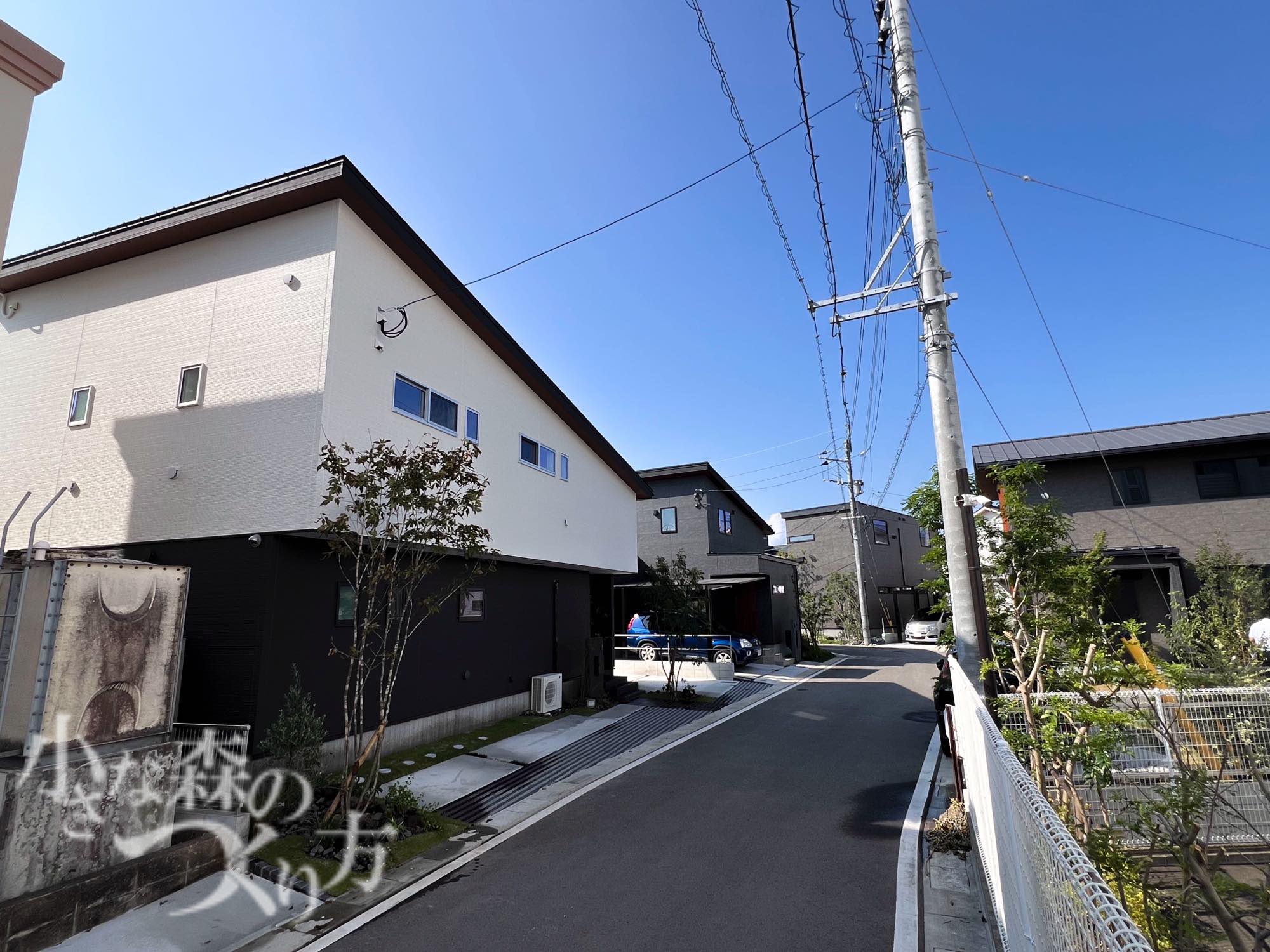 <p>ツートーンカラーの建物に、高さのある植栽でアクセントを付け、立体感を引き出しました。</p>
<p>アプローチに植栽を取り入れることにより、温かみと動きのある自然の美しさをプラスしてくれます。</p>
<p> </p>