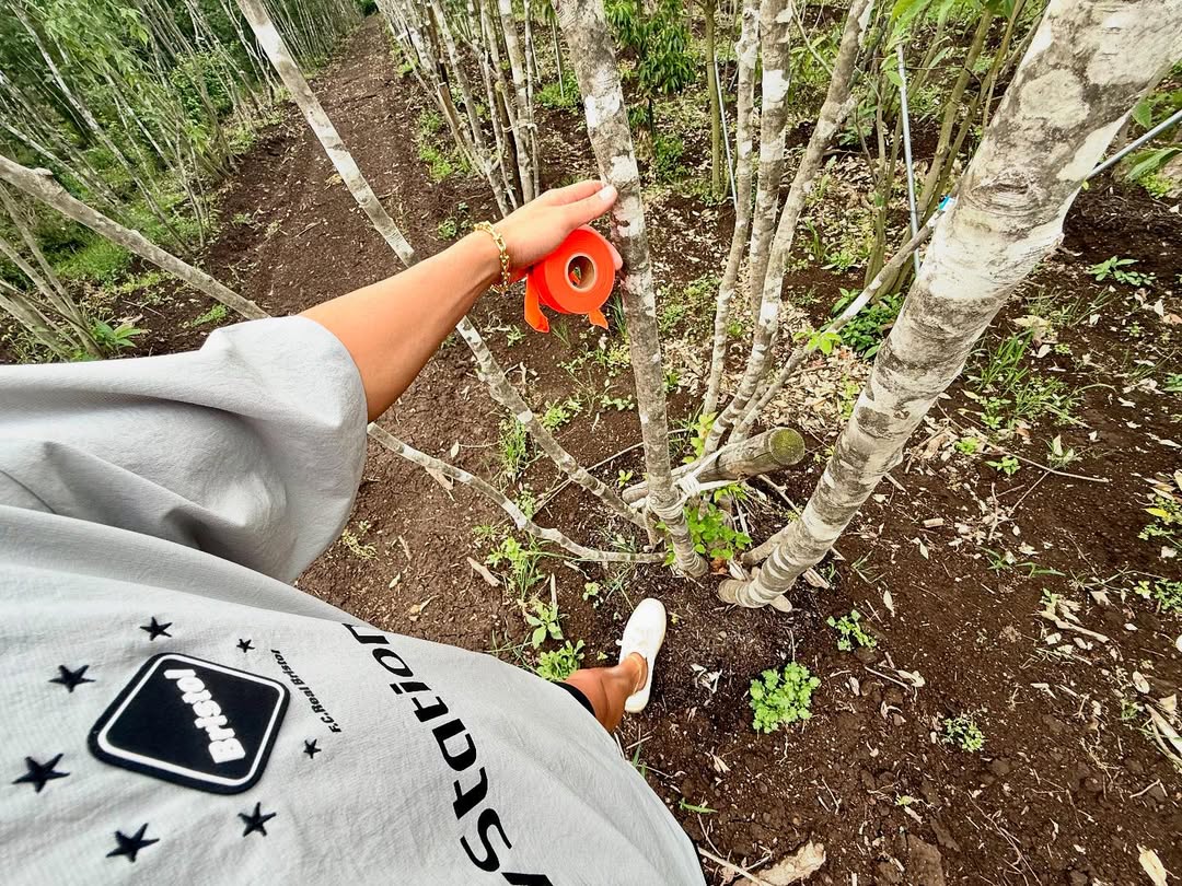 <div class="xdj266r x11i5rnm xat24cr x1mh8g0r x1vvkbs x126k92a">
<div dir="auto">
<p>東京、名古屋、大阪出張から戻り早速の<br />
日曜日恒例の農場marking😅</p>
<p>午後から17時半までみっちり農場徘徊😊</p>
<p>しかしそこには、感性を維持する目利きと<br />
空間構成を衰えないようにする秘密🤫が<br />
たくさんあります!</p>
<p>小さな森と、仕事に🌳に今日も感謝🙇♂️</p>
</div>
</div>